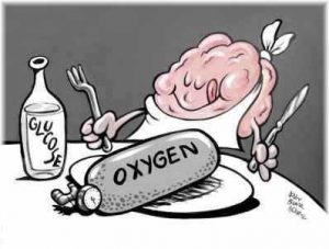 Manfaat Oksigen Dalam Organ Tubuh Dan Otak